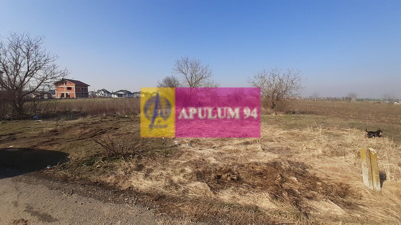 Teren investitie Ilfov