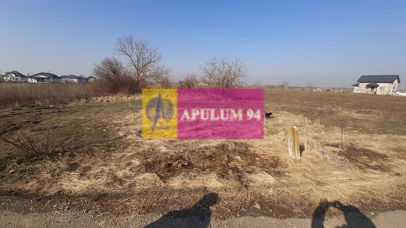 Teren investitie Ilfov