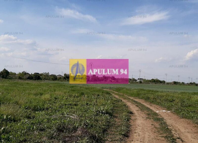 Teren investitie Ilfov